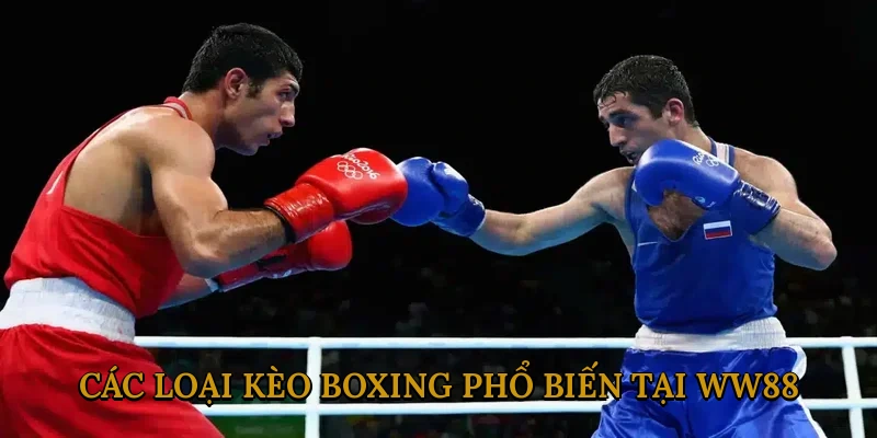 Các Loại Kèo Boxing Phổ Biến tại WW88