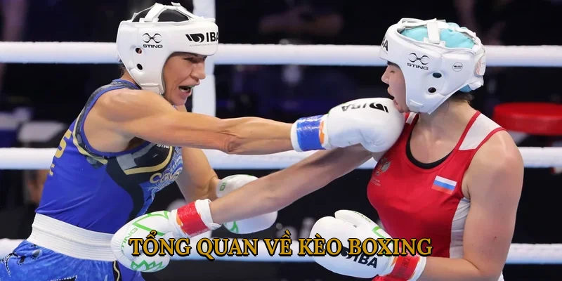 Tổng Quan Về Kèo Boxing