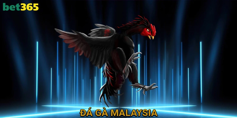 Đá Gà Malaysia