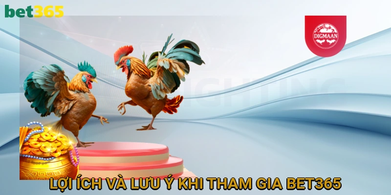 Lợi Ích Và Lưu Ý Khi Tham Gia Đá Gà BET365